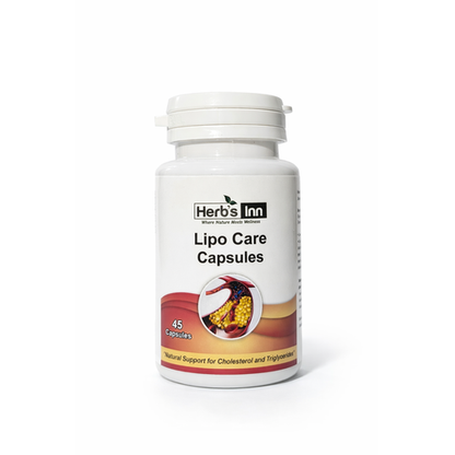 Lipo Care Bundle